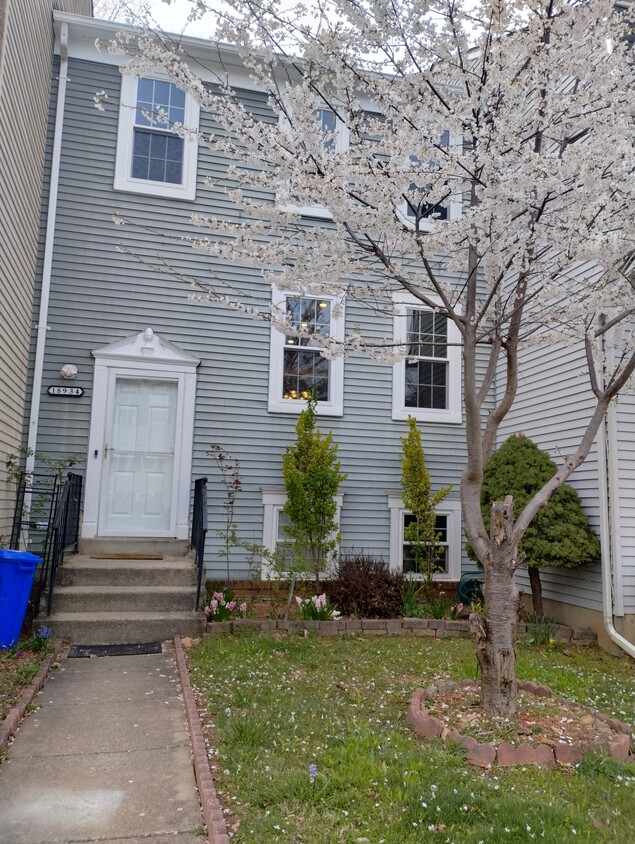 18934 Treebranch Ter, Germantown, Md 20874 - Townhome Rentals In 