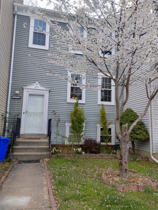 18934 Treebranch Ter, Germantown, MD 20874 Townhome Rentals in