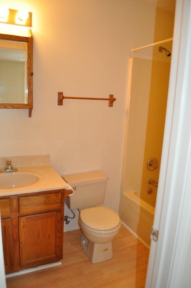 110 Westside Master Bath - 110 Westside Dr