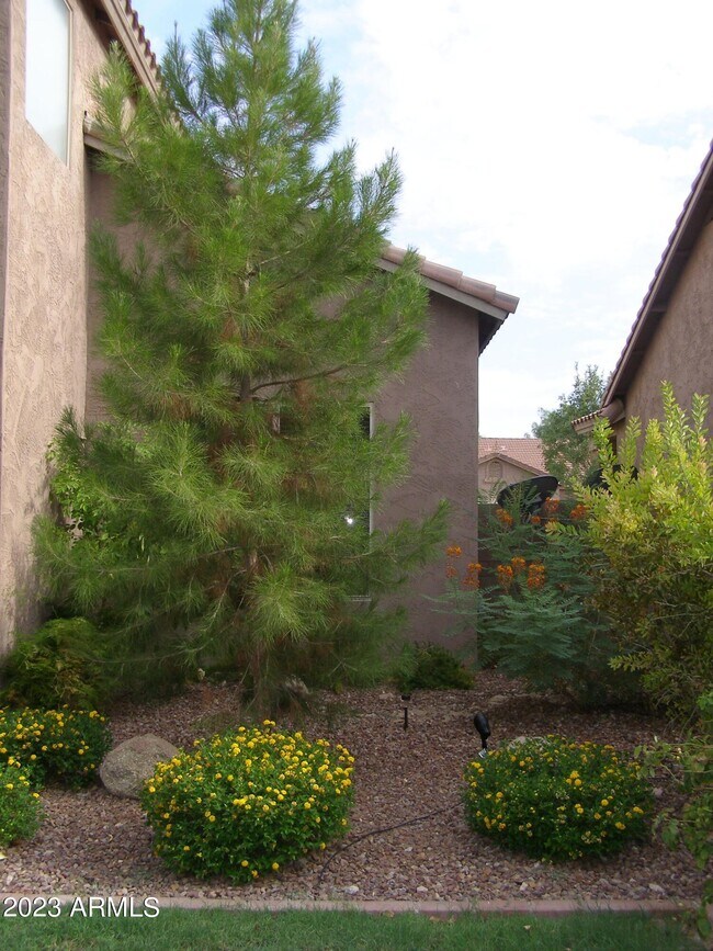 Building Photo - 5432 W Mercury Way