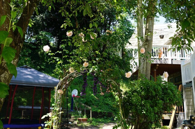 yard - 3203 SW 2nd Ave