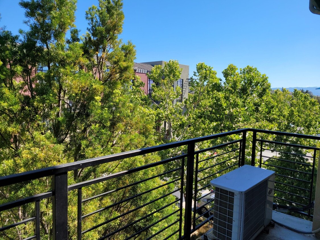 800 N 8th St Unit 313, San Jose, CA 95112 Condo for Rent in San Jose