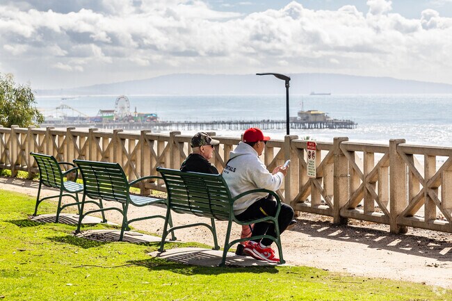 Enjoy cliffside views overlooking the ocean from Palisades Park.