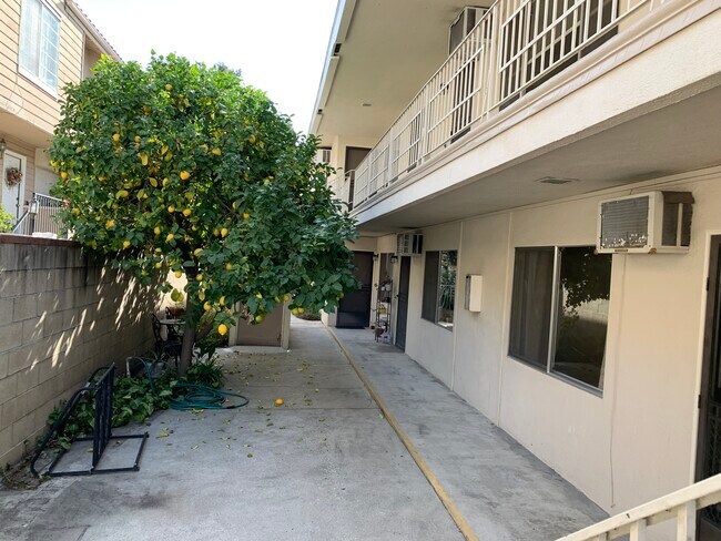Center Courtyardf - 149 Diamond St