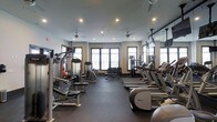 This fitness center offers a comprehensive workout environment thoughtfully organized across a single open floor. The space is designed with functionality and comfort in mind, featuring a neutral color palette of warm beige walls and a dark rubberized flooring that provides both durability and safety during exercise. Recessed lighting paired with ceiling fans ensures the room remains well-lit and properly ventilated throughout the day.

Natural light streams in through multiple large windows along the far wall, creating an inviting atmosphere that enhances the overall workout experience. Along one side of the room, a row of Precor cardio machines — including treadmills and ellipticals — are neatly arranged, each equipped with individual monitors. The opposite side houses a variety of strength training machines and cable systems, offering a full range of resistance exercises. A dedicated free weights area features a tiered dumbbell rack alongside a flat bench, catering to those seeking versatile strength training options. Mirrored wall sections help visually expand the space while allowing users to monitor their form. The layout promotes efficient circulation, making this a practical and well-rounded facility.
