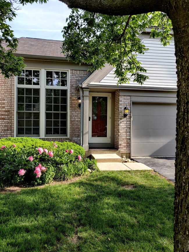 438 Orleans Ave Exterior - 438 Orleans Ave