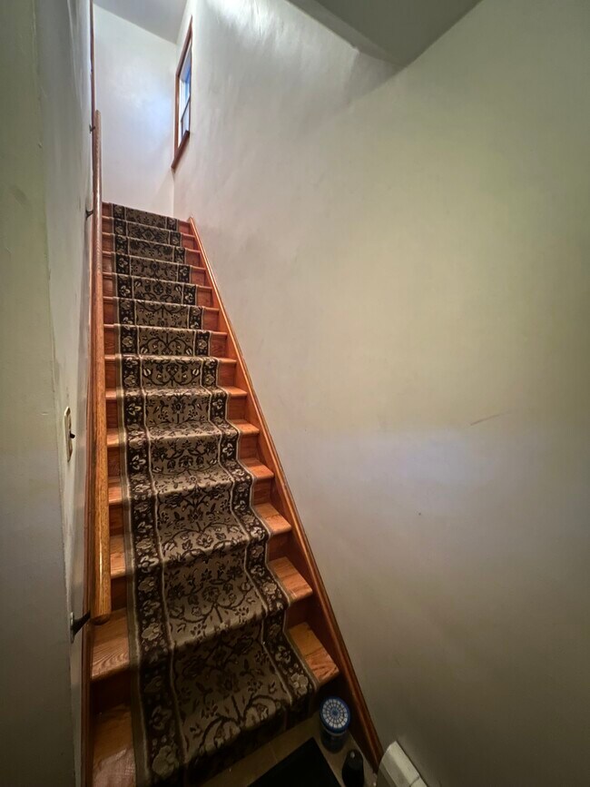 Entrance - 137 Saint Pauls Ave