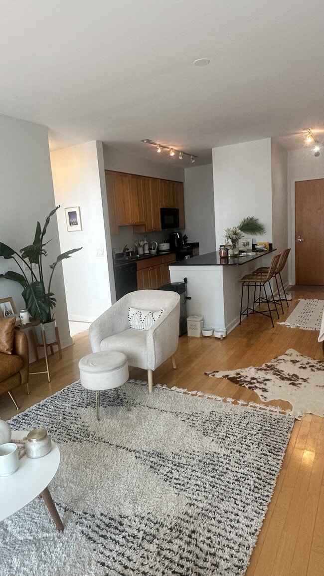 Living Room / Kitchen - 421 W Huron St
