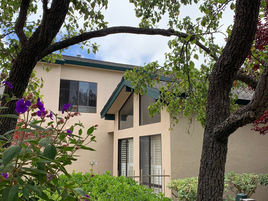 Primary Photo - 818 Ironwood Rd