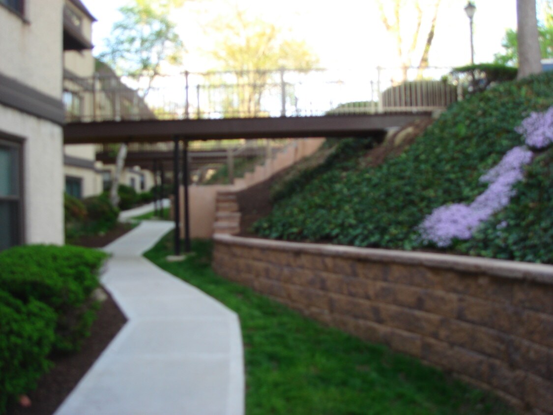 243 Shawmont Ave, Philadelphia, PA 19128 Condo for Rent in