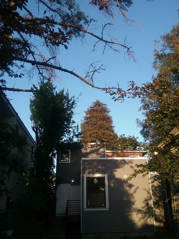 Foto del edificio - 1636 Milvia St