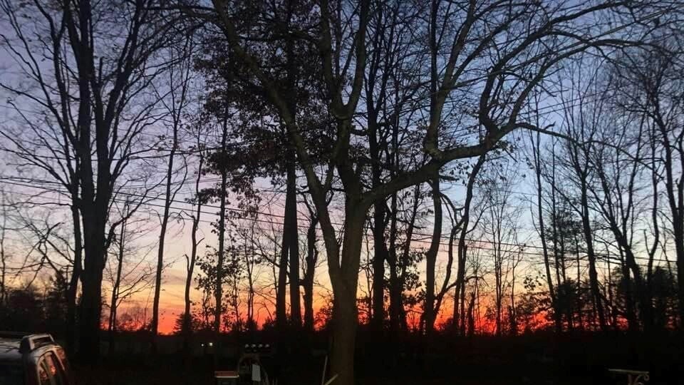 view from apartment - 293 Bear Hill Rd