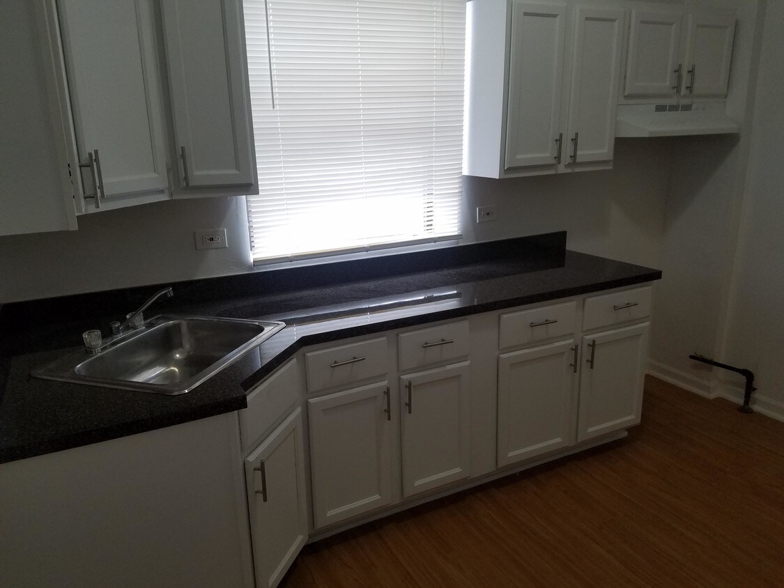 Primary Photo - 3 bedroom in Chicago IL 60653