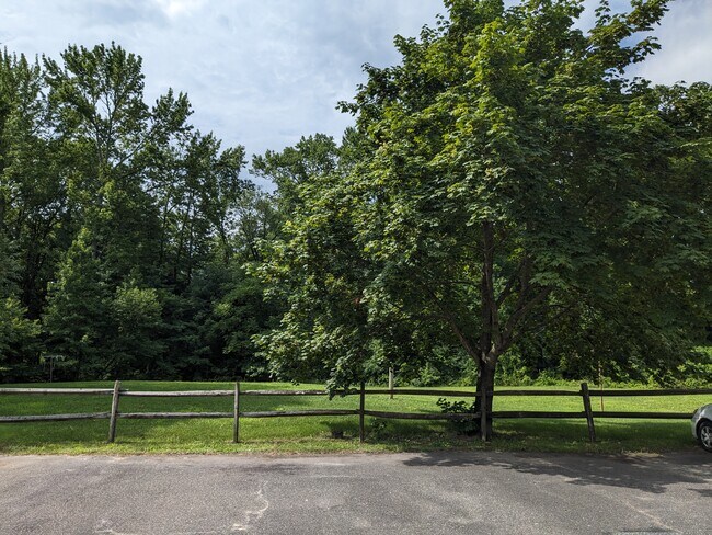 Backyard - 1119 Almond Rd