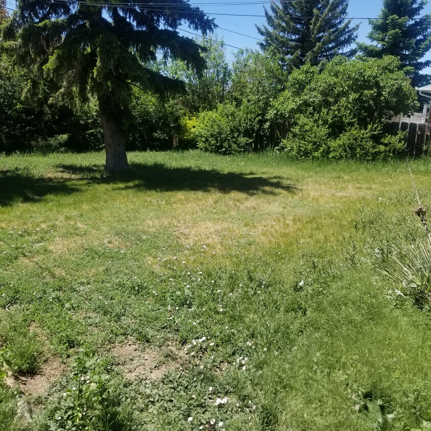 Foto del edificio - 517 Princeton Ln
