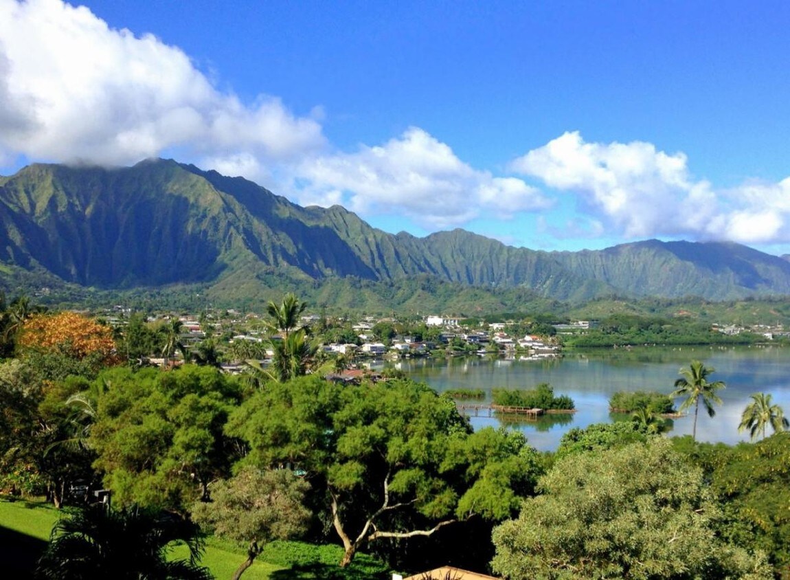 View from lanai - 46-65 Konohiki St