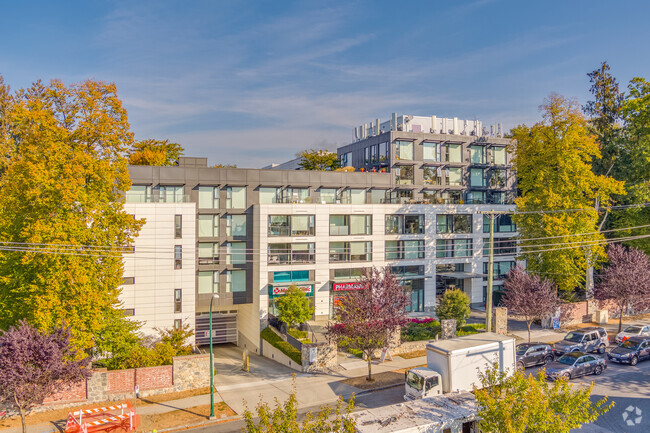 Building Photo - Shannon Mews & Apartments Phase II