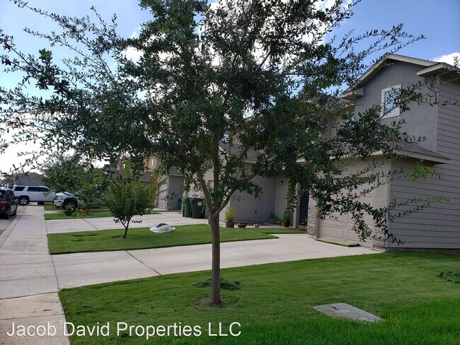 Building Photo - 16815 Dancing Ava