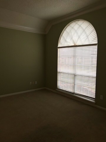 Foto del edificio - 3217 Pecan Meadow Dr