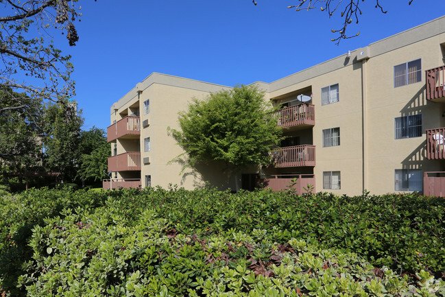 Building Photo - St. Johns Plaza Apartments
