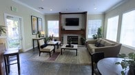 This single-floor space is a thoughtfully appointed lounge area designed for comfort and relaxed gathering. The room is anchored by a striking wood-framed fireplace surround, above which a wall-mounted flat-screen television is prominently positioned, creating a natural focal point for the space. The fireplace surround features warm wood tones with a stone hearth, adding a sense of depth and character to the room.

The flooring throughout is composed of slate tiles in earthy, multi-toned hues, lending an understated elegance to the space. A large area rug defines the central seating arrangement, which includes a neutral-toned sofa adorned with accent pillows, a pair of armchairs with ottomans, and a sleek, low-profile coffee table — all arranged to encourage conversation and relaxation.

Crown molding trims the ceiling, adding a refined architectural detail, while recessed lighting provides warm, even illumination. Multiple windows along the walls allow abundant natural light to filter in, brightening the soft, neutral wall tones. Framed botanical artwork and an array of lush indoor plants introduce organic texture and warmth throughout. A console table with a lamp near one window adds a layered, lived-in quality to the overall ambiance of the room.