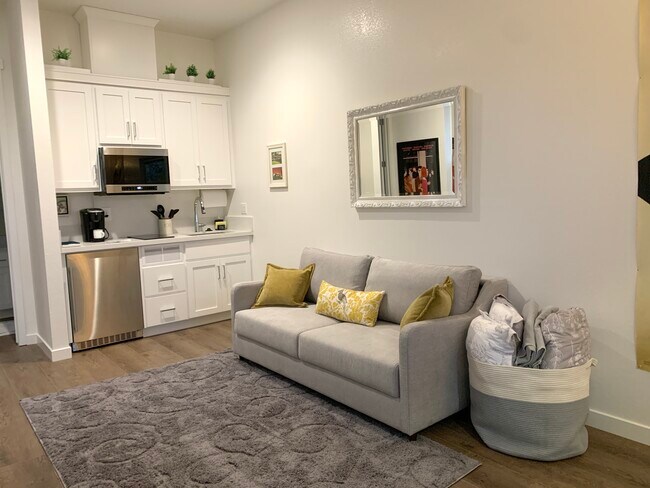 New luxury studio with 12' tall ceilings, full bath, kitchen and queen sofa sleeper. - 88 Edith St