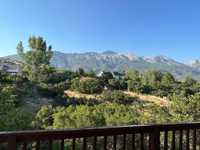 Your view - 308 Hillside Cir