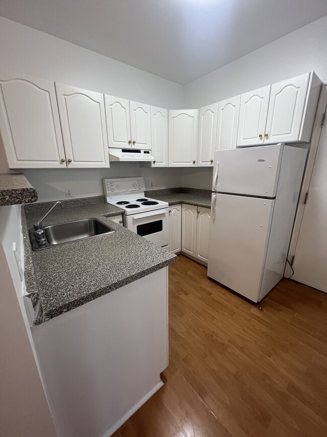 Building Photo - 362 Friel St