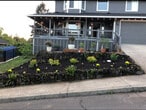 Primary Photo - 1727 N 12th St