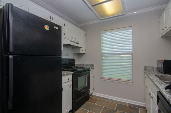 Building Photo - 313 Yorkshire Cir