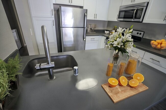 Interior Photo - Sommerset La Costa