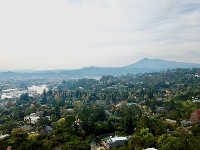 Building Photo - Country Club San Rafael Home with Pool and...