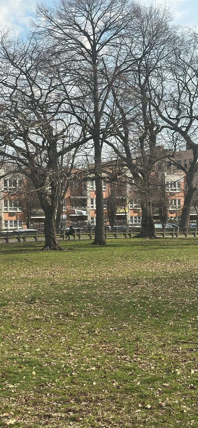 Foto del edificio - 315 Mt Eden Pkwy