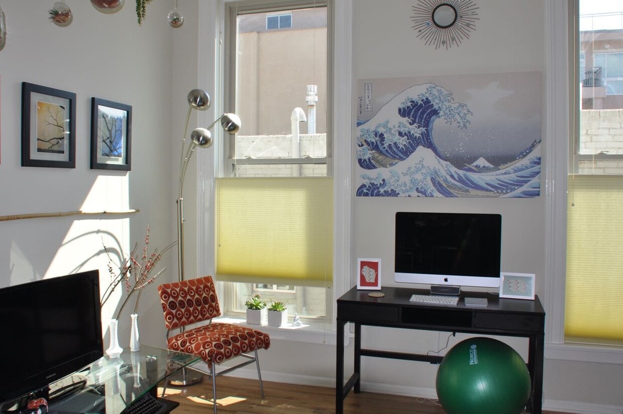 Great room. 10 ft ceiling, 8 ft windows. - 1203 Washington Ave