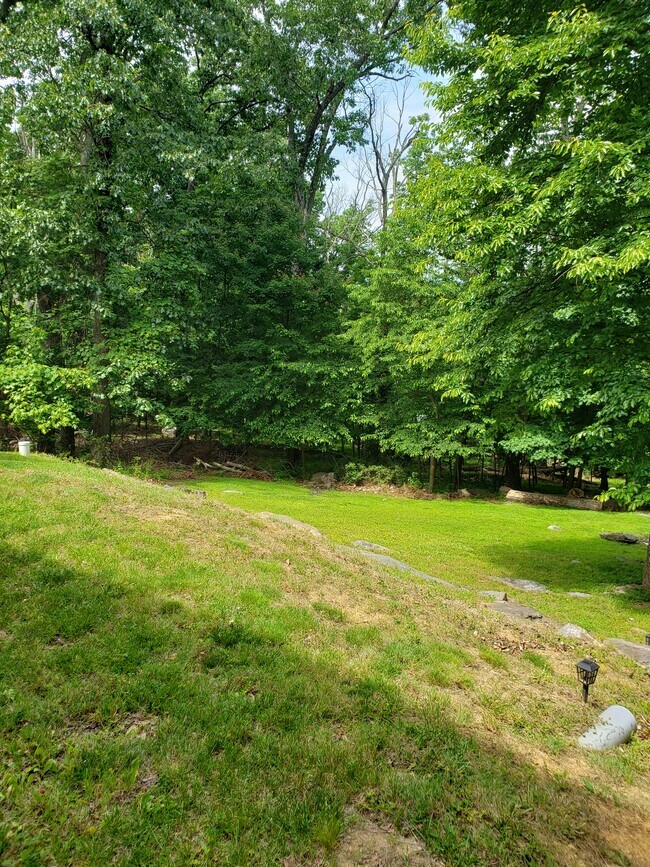 Building Photo - 155 Fawn Dr