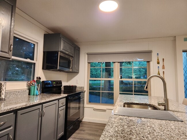 Building Photo - 2203 Swiss Pine Lake Dr