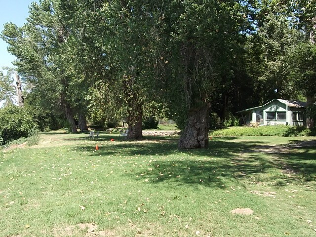 Primary Photo - Driftwood & River Inn Parks