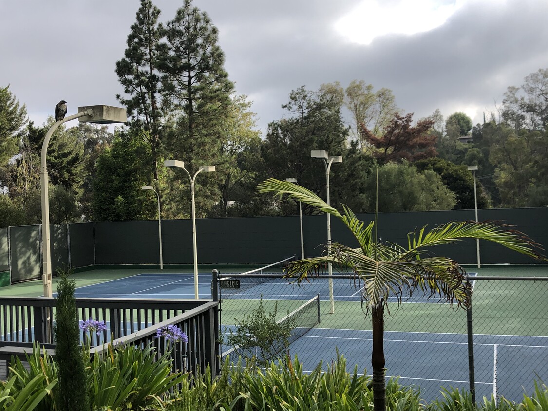 Tennis Courts - 3603 W Hidden Ln