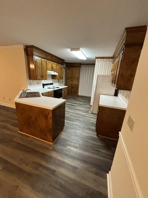 Foto del edificio - 31 Radcliff Dr