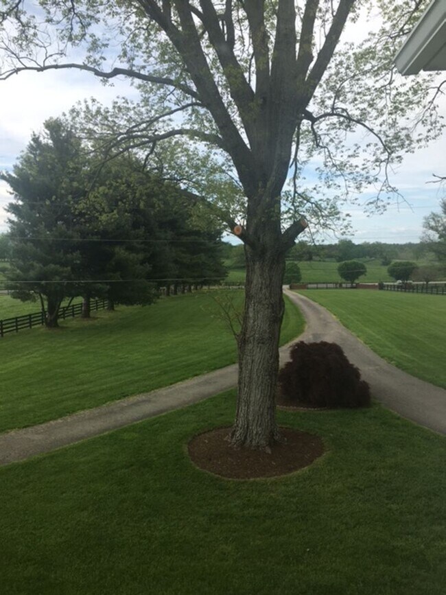 Foto del edificio - Kentucky mansion overlooking horse farm with stunning views    260323
