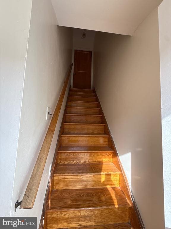 Building Photo - 366 Ripka St