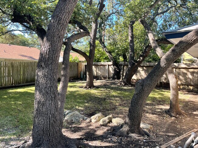 backyard - 8310 Watchtower St