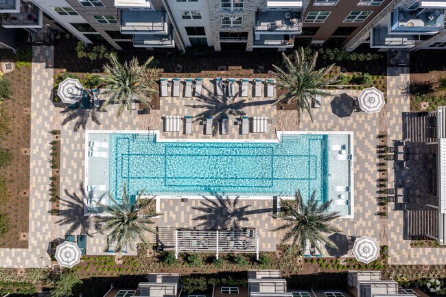 Piscina - The Reserve at Baybrook