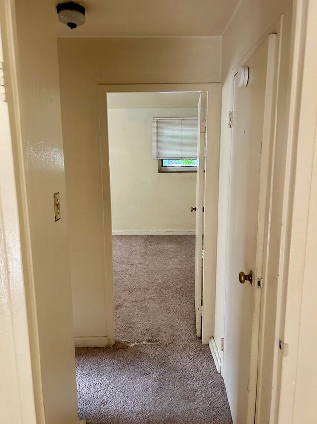 Foto del edificio - Bright large 1 bedroom in Shadyside