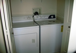 Laundry Area - 1010 Holliday Hills Dr