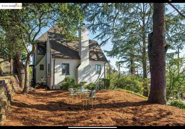 Side yard - 6344 Snake Rd