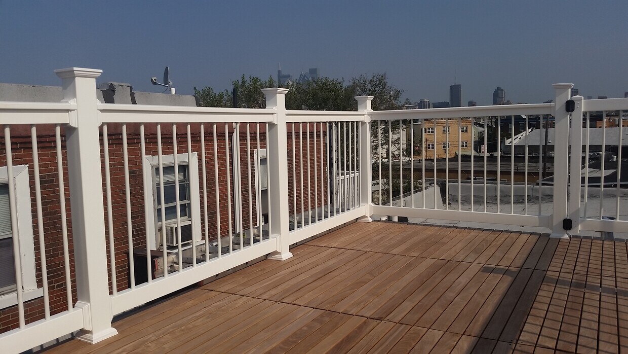 Roof deck with Center city views - 815 Wharton St
