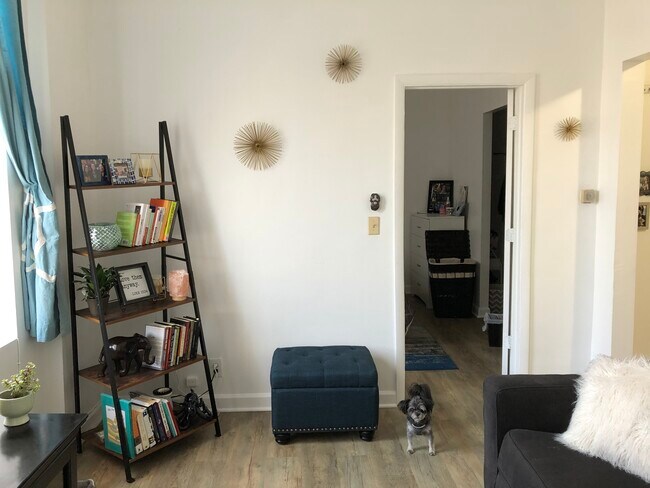 Living Room - 1312 W Cullerton St