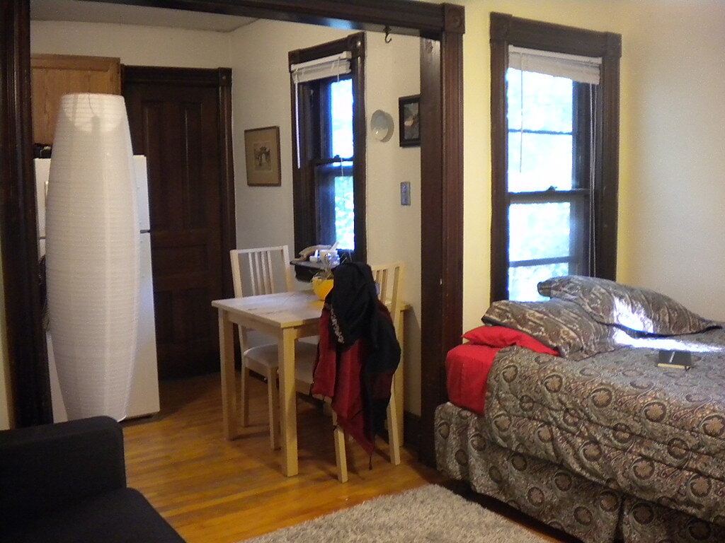 Living area and kitchen - 522 N Division St (Ann Arbor, MI)