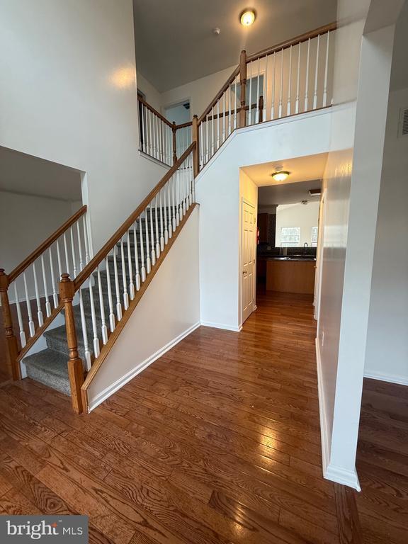 Foto del edificio - 5 English Ivy Dr